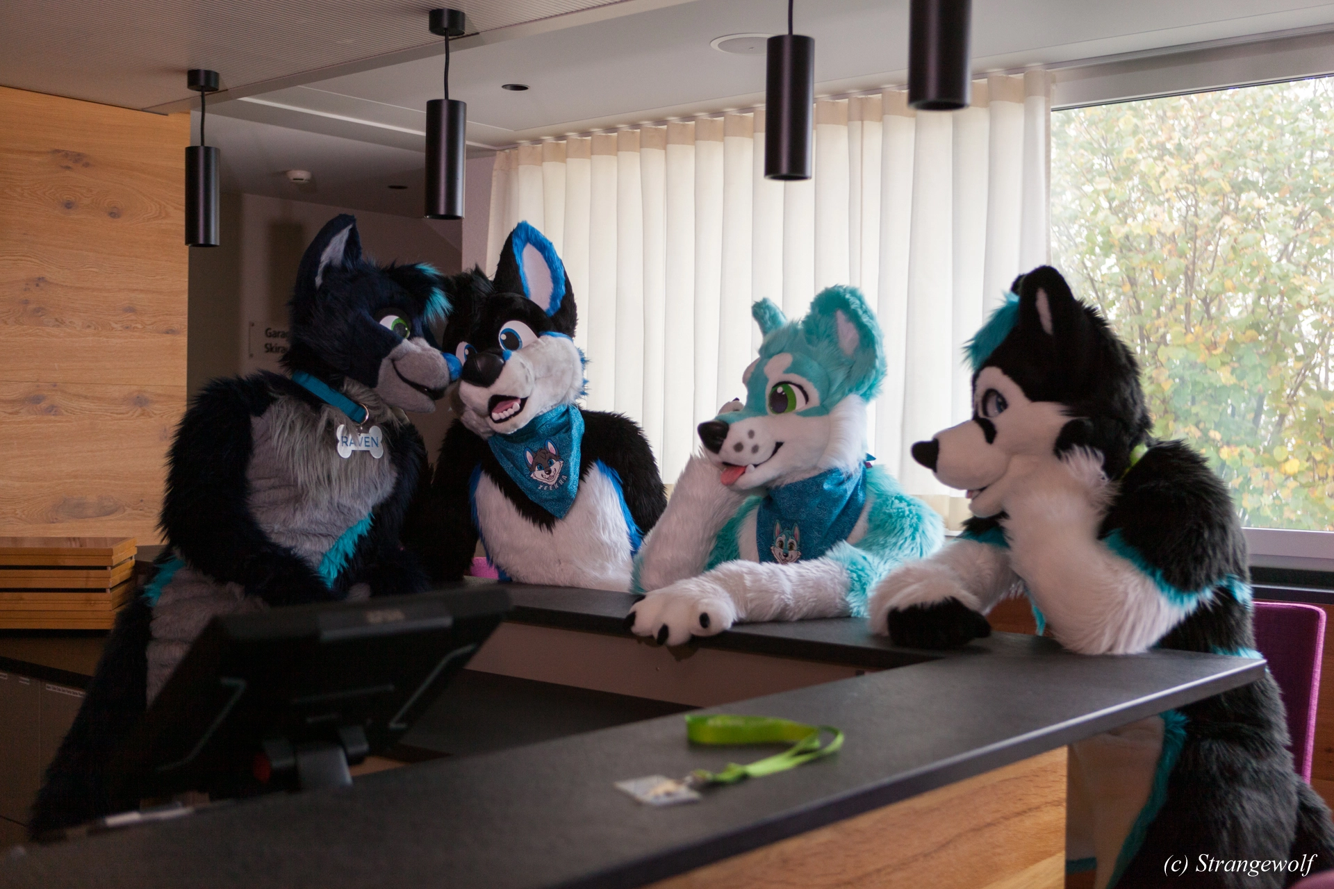 full image IMG_6983-lr19t.jpg