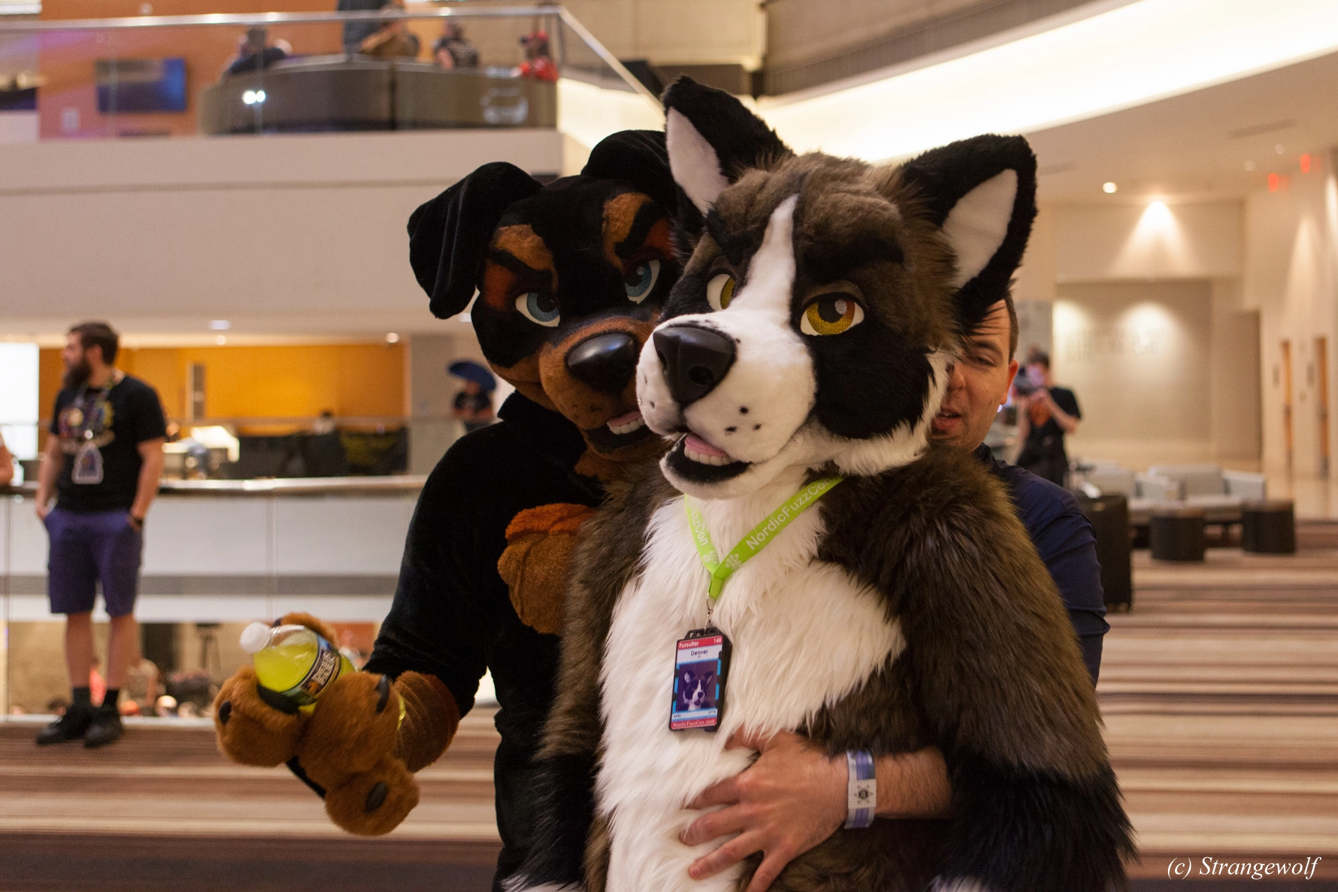 full image IMG_1287-lr19t.jpg