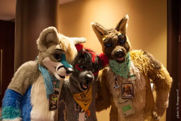 IMG_4470-lr16t.jpg of MFF/MFF2015/