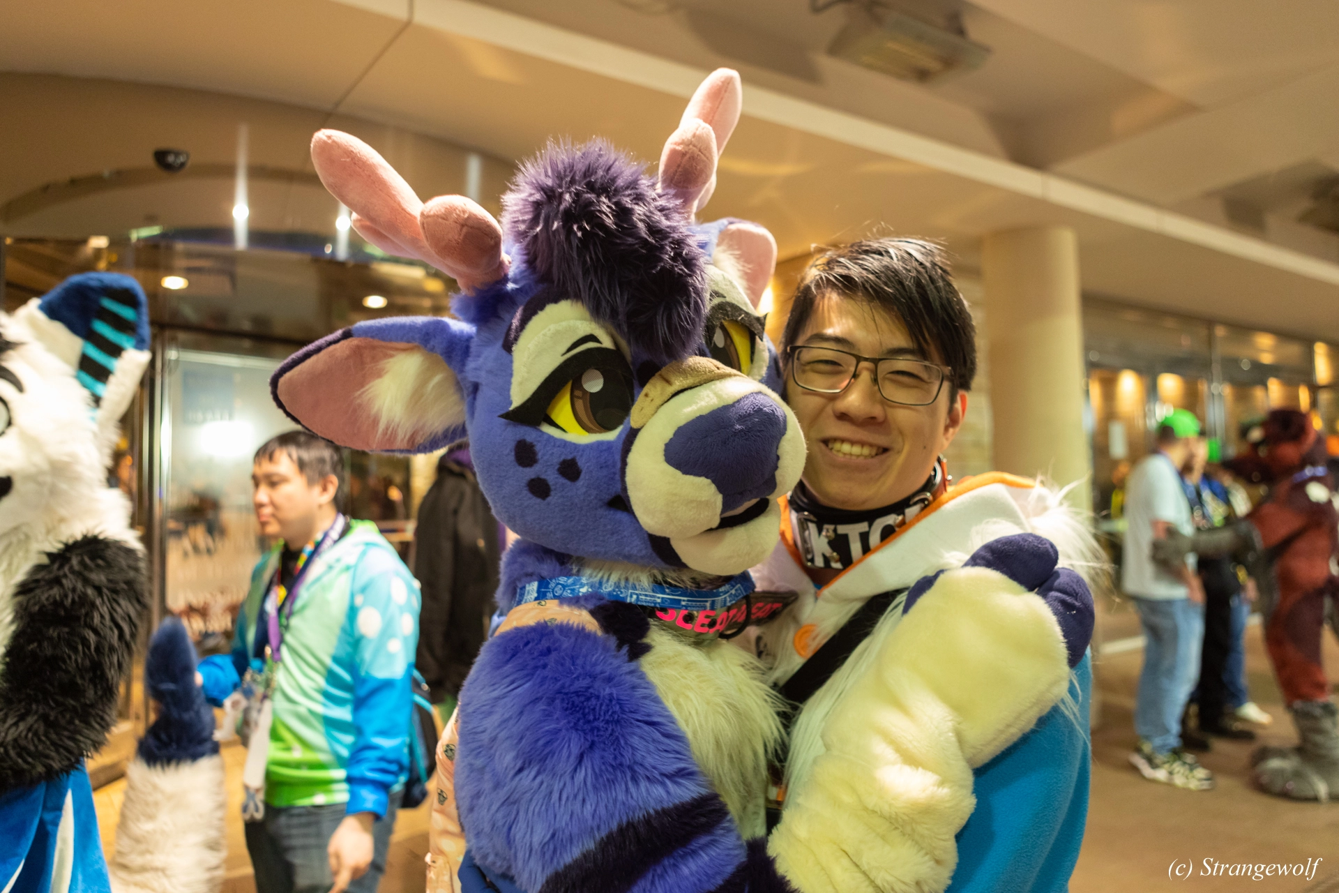full image 1R3A6365-lr19t.jpg