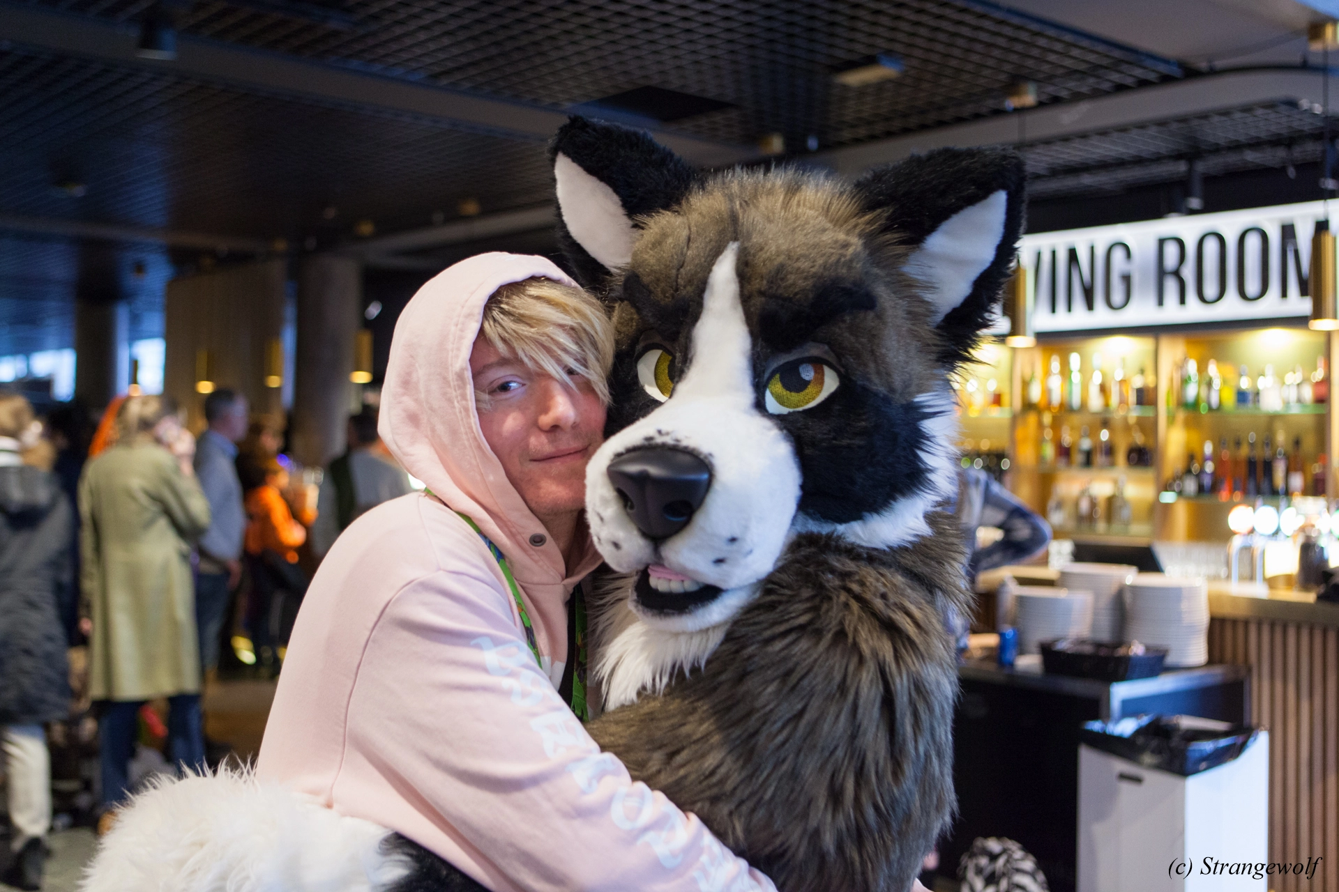 full image IMG_8550-lr19t.jpg