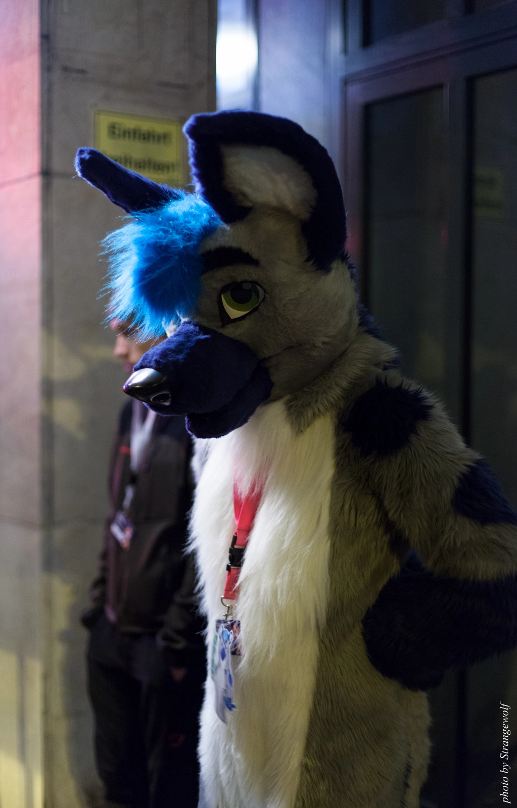 full image IMG_5509-lr16t.jpg