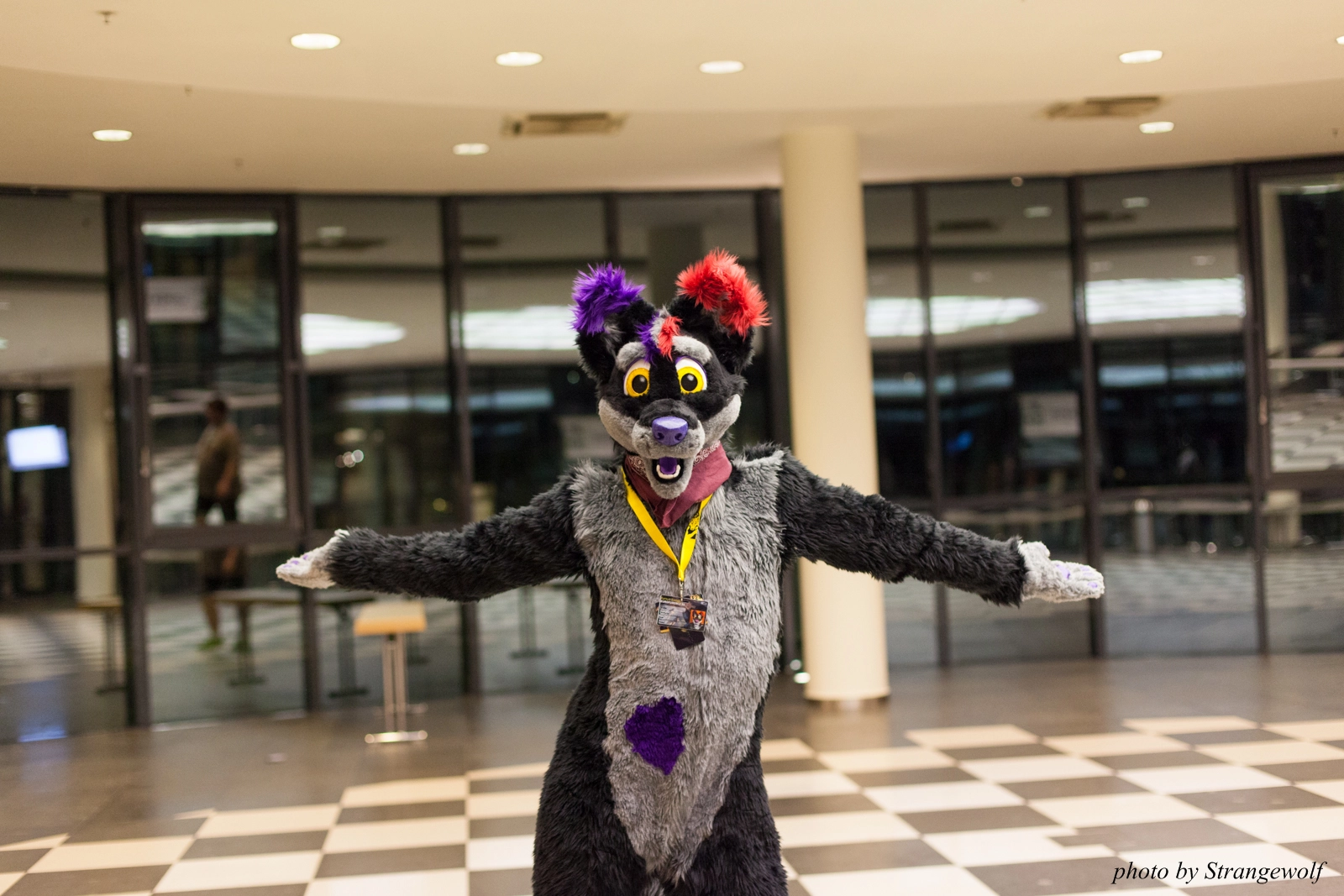 full image IMG_1969-lr16t.jpg