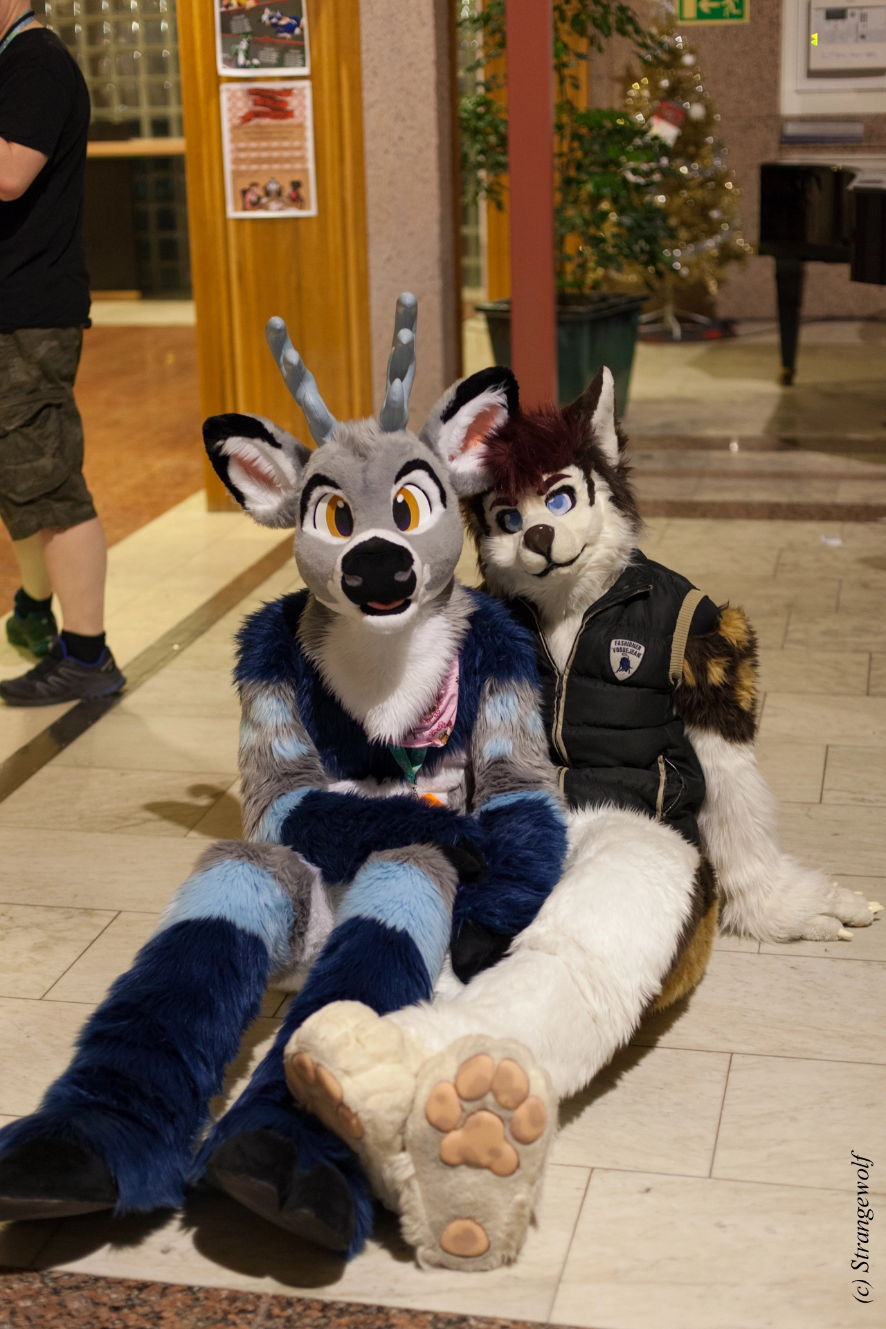 full image IMG_9209-lr19t.jpg