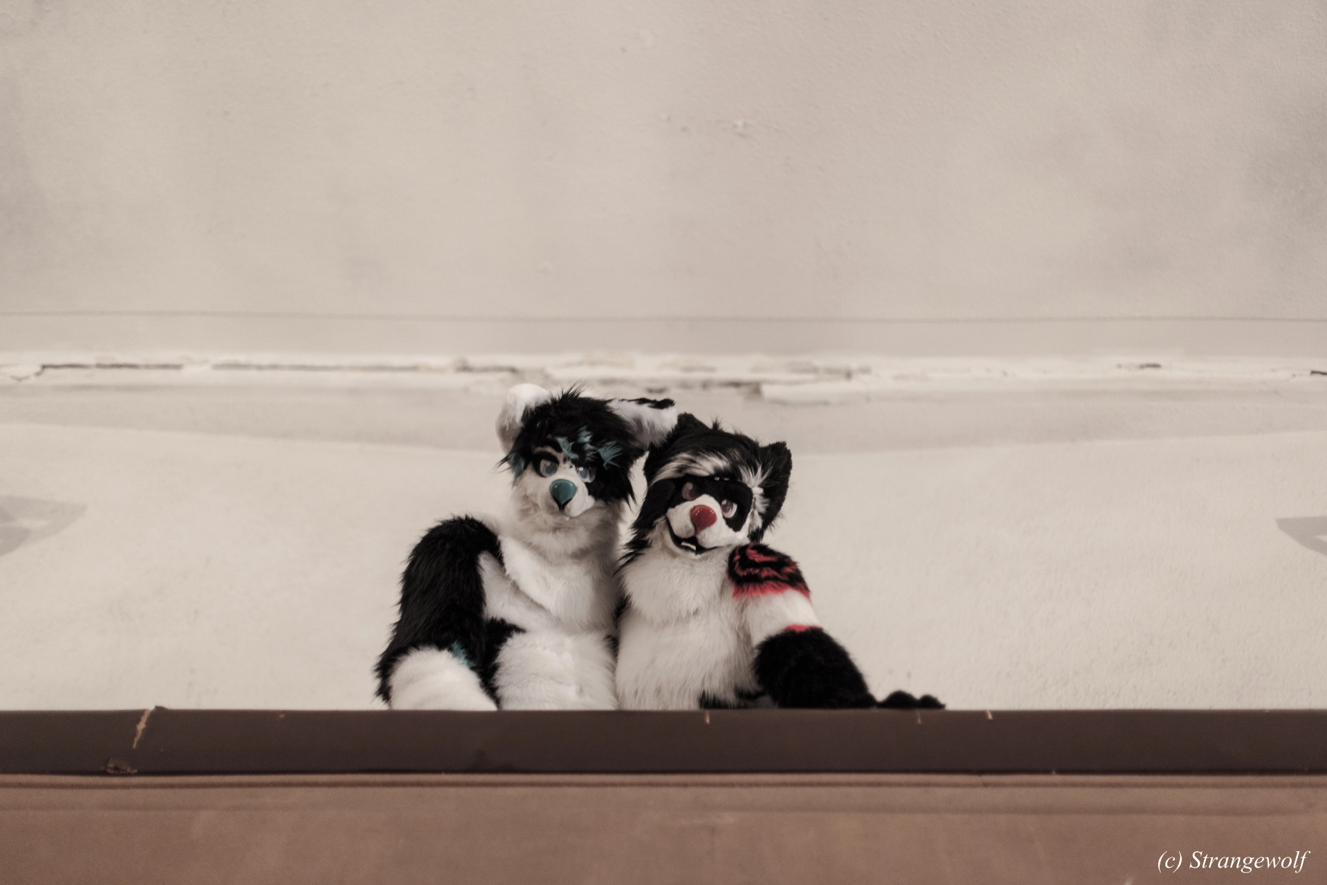 full image IMG_5899-lr19t.jpg