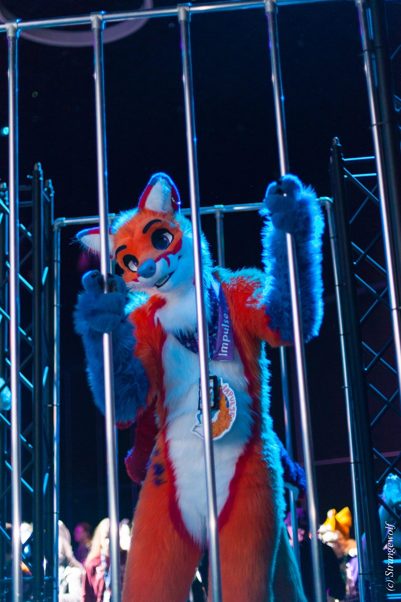 full image IMG_9269-lr19t.jpg