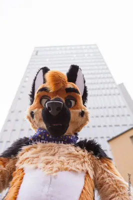 IMG_9047-lr19t.jpg of NFC/NFC2020/