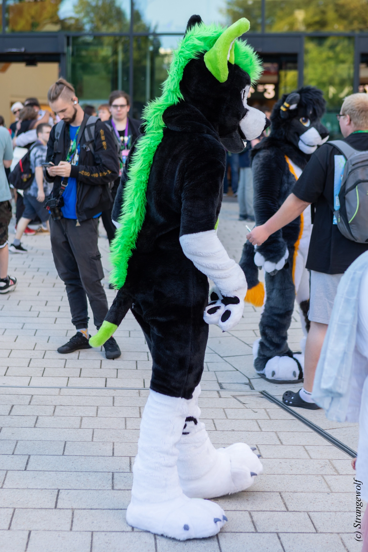 full image 1R3A9329-lr19t.jpg