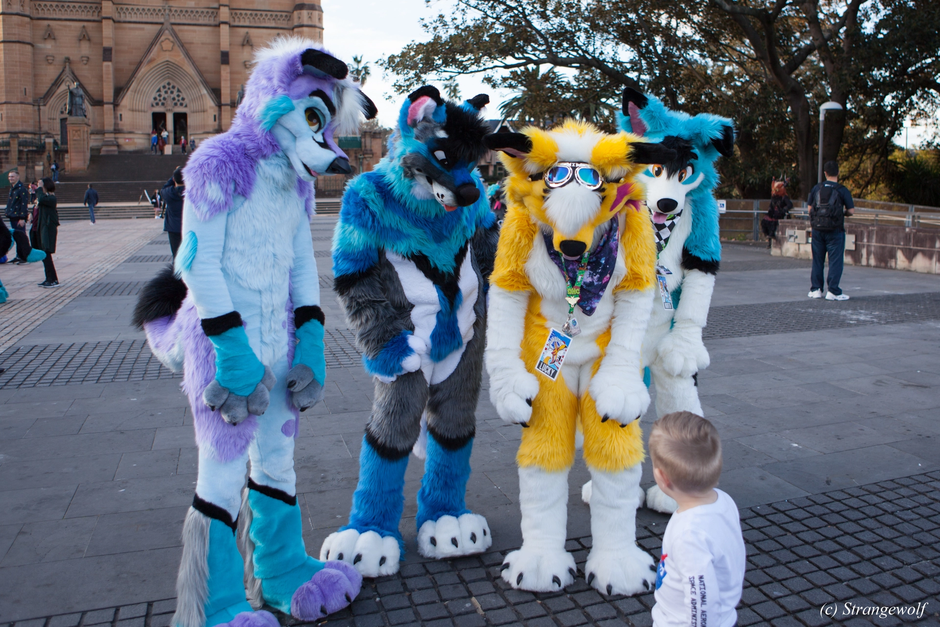 full image IMG_4661-lr19t.jpg