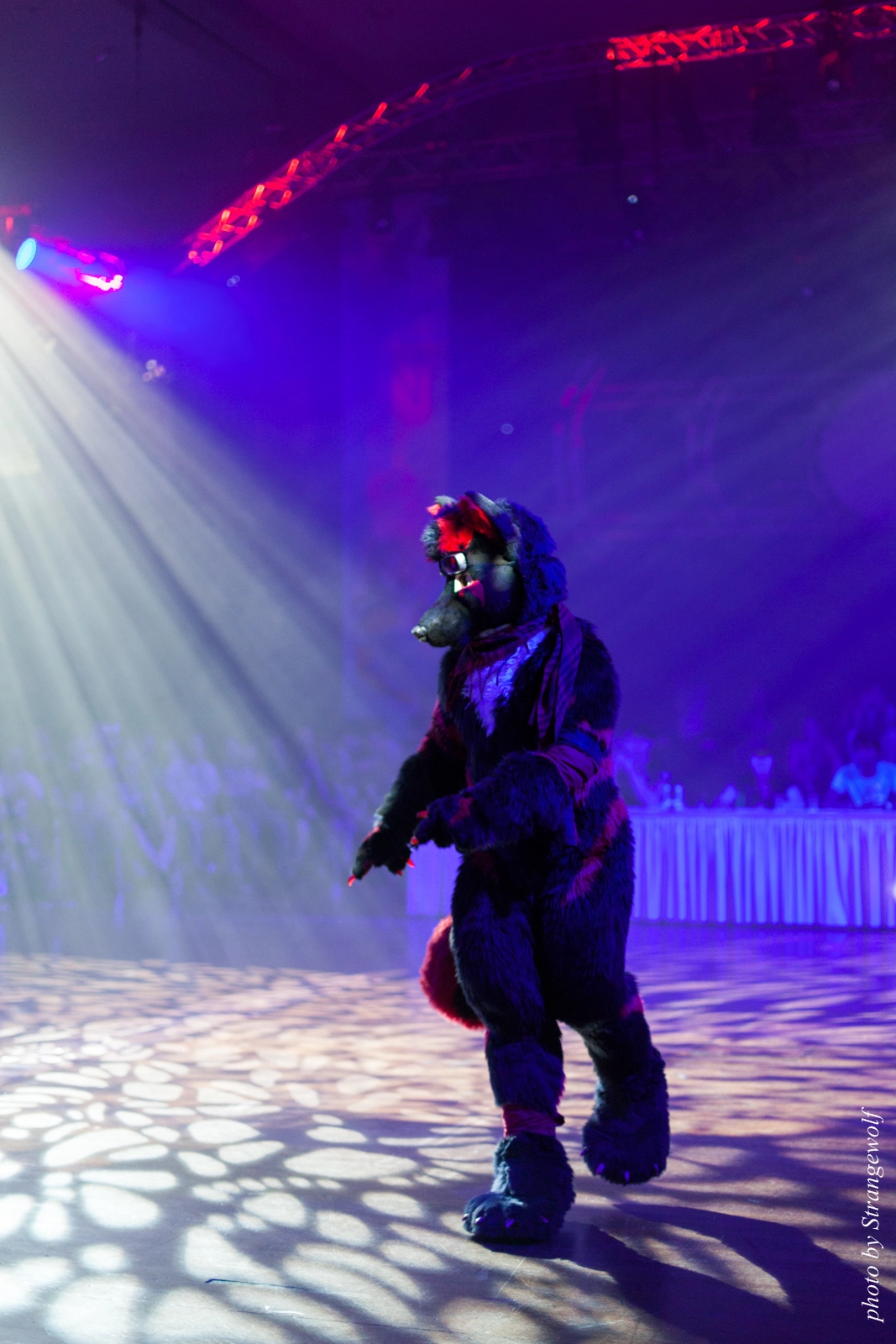 full image IMG_9158-lr16t.jpg