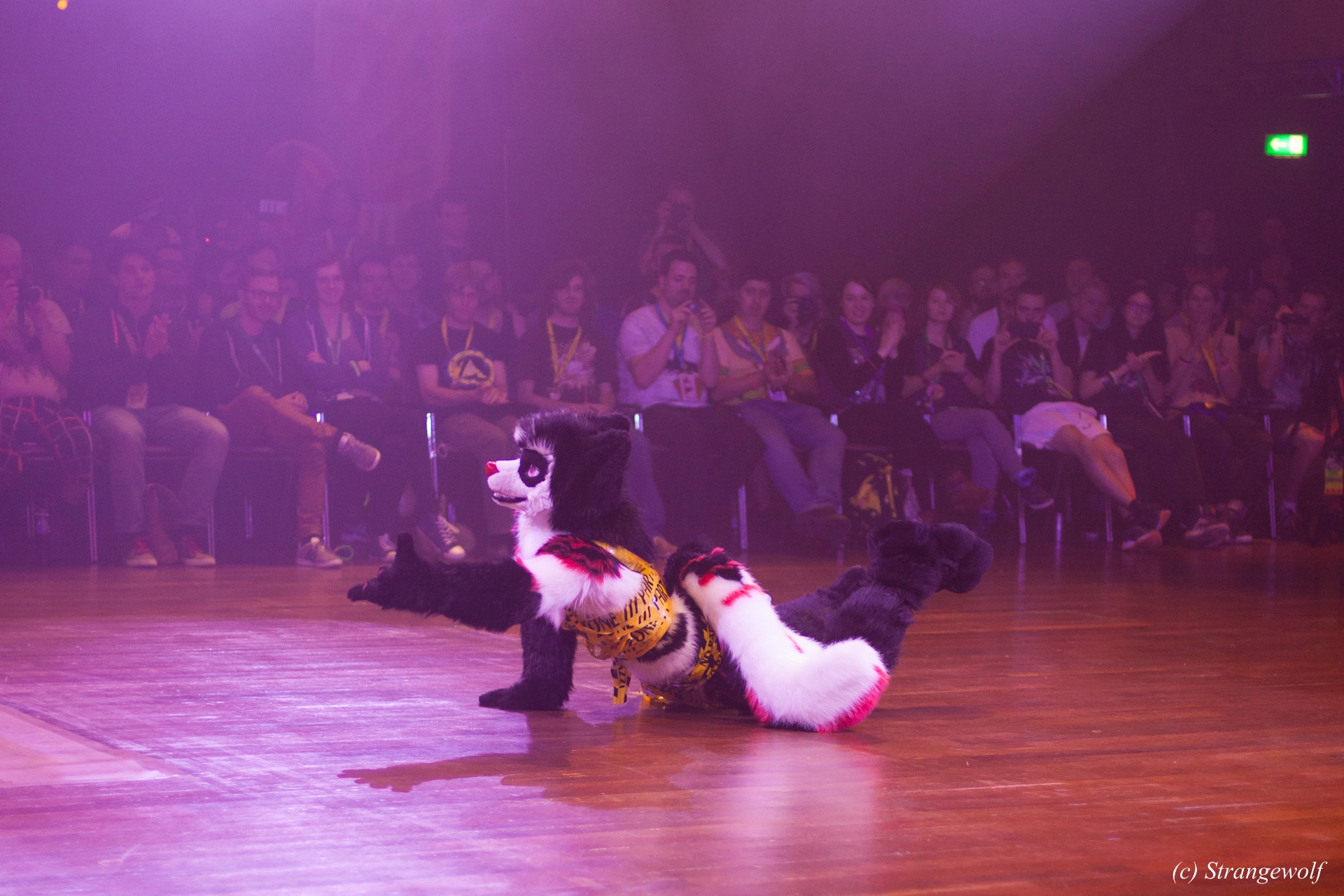 full image IMG_6615-lr19t.jpg