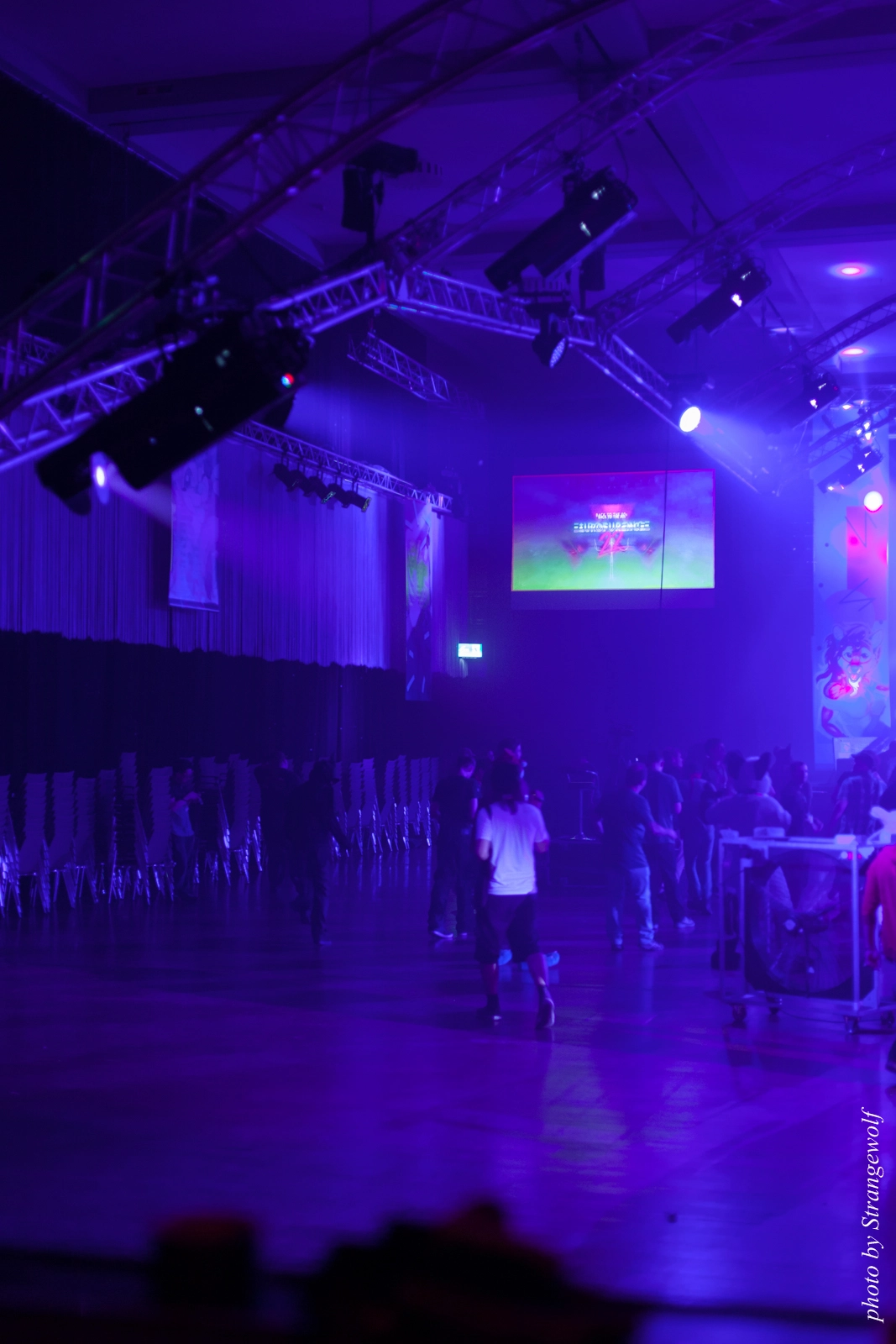 full image IMG_0206-lr16t.jpg