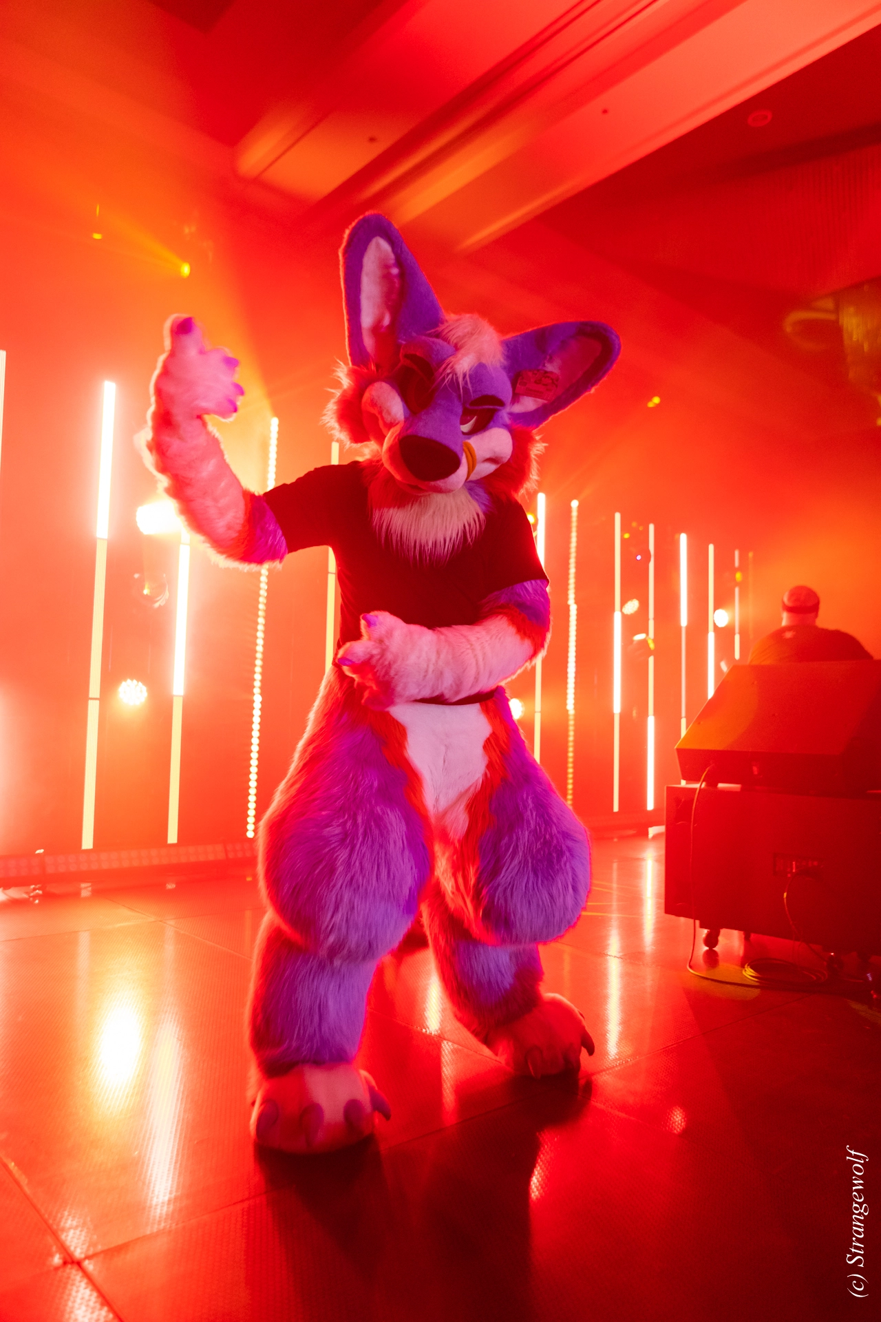 full image 1R3A5258-lr19t.jpg