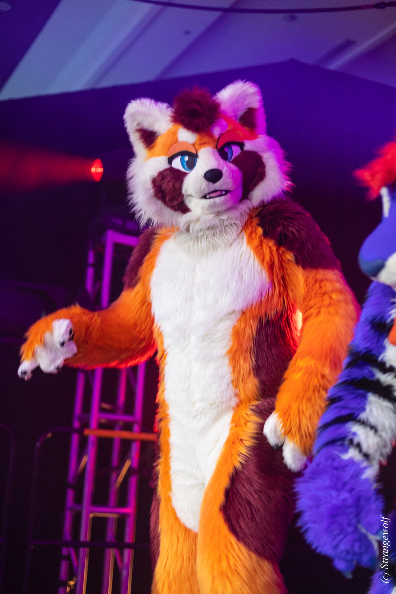 full image 1R3A0771-lr19t.jpg