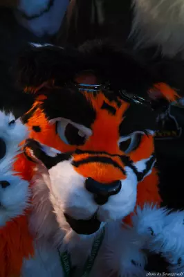 IMG_0686-lr.jpg of MFF/MFF2013/
