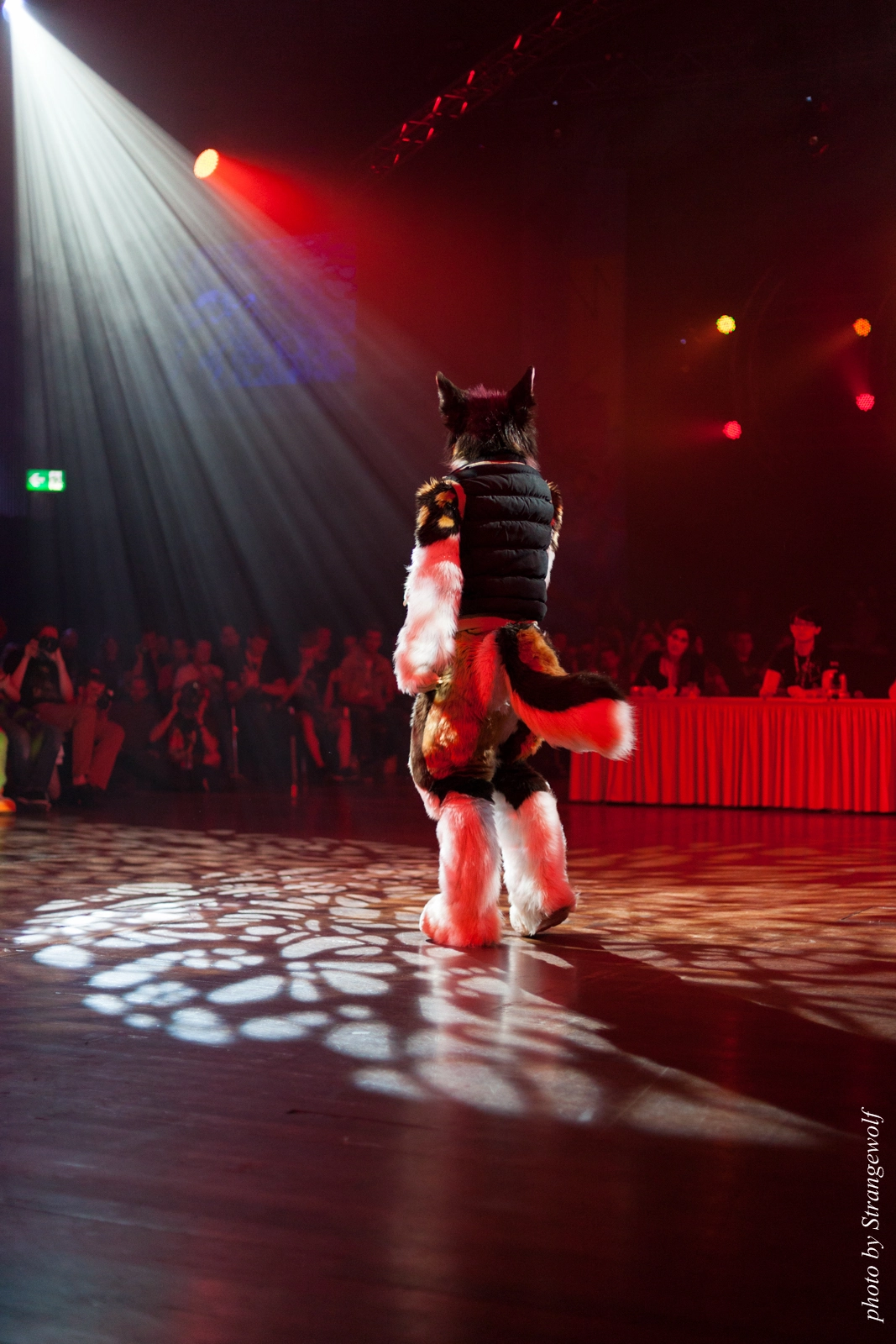 full image IMG_9451-lr16t.jpg