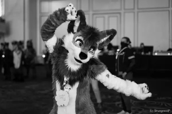 IMG_2929-lr19t.jpg of ANE/ANE2022/