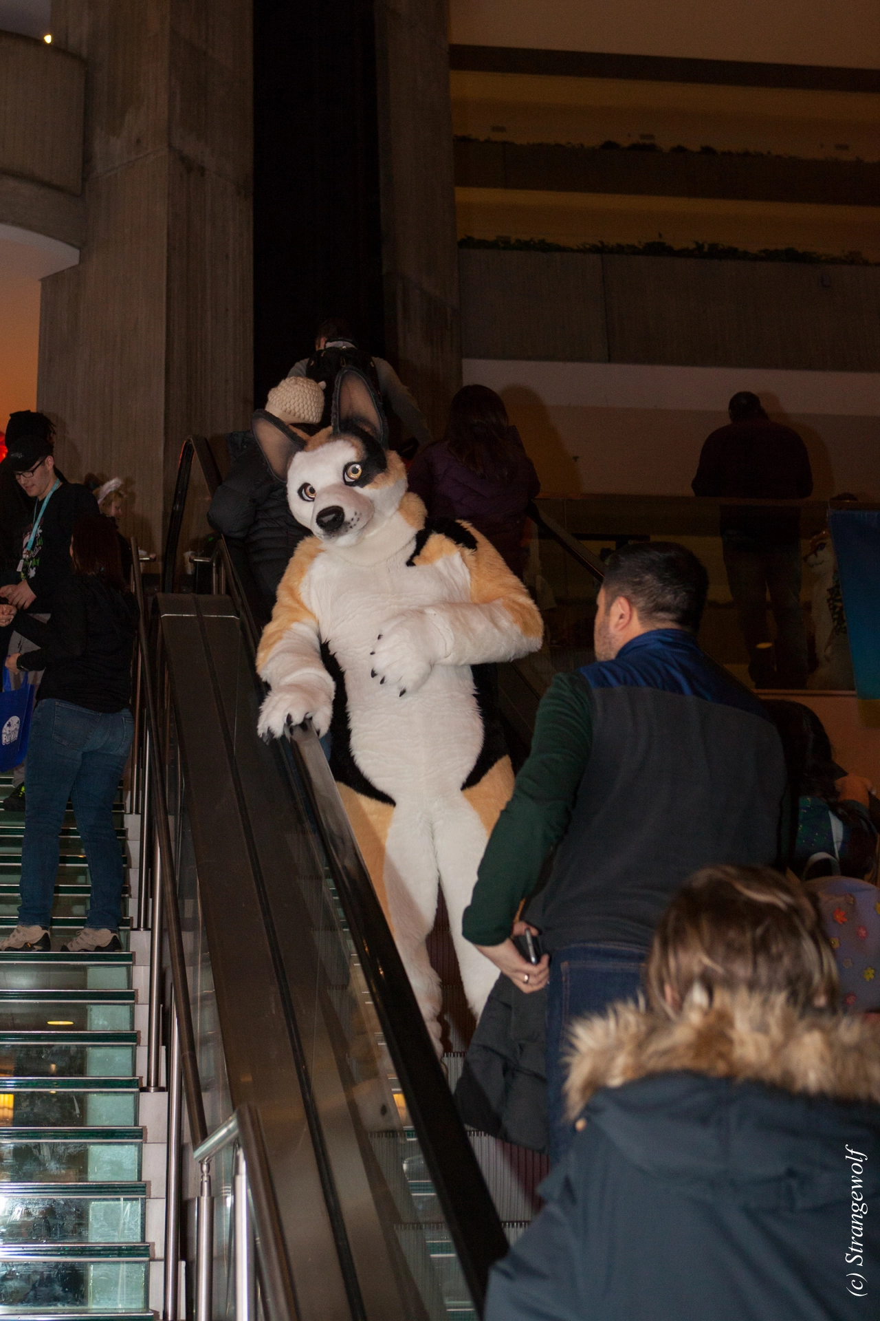 full image IMG_7488-lr19t.jpg