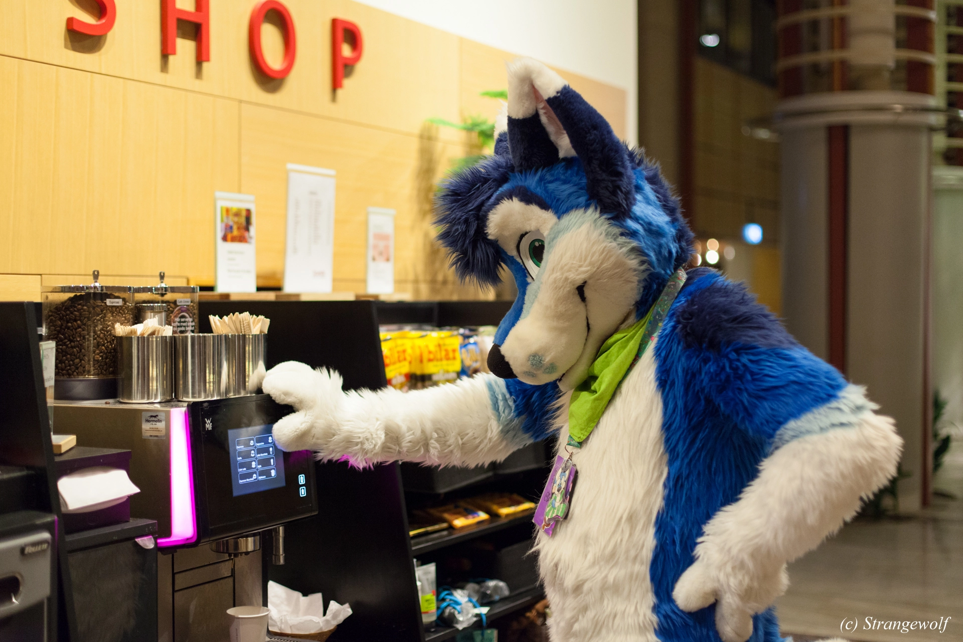 full image IMG_9011-lr19t.jpg