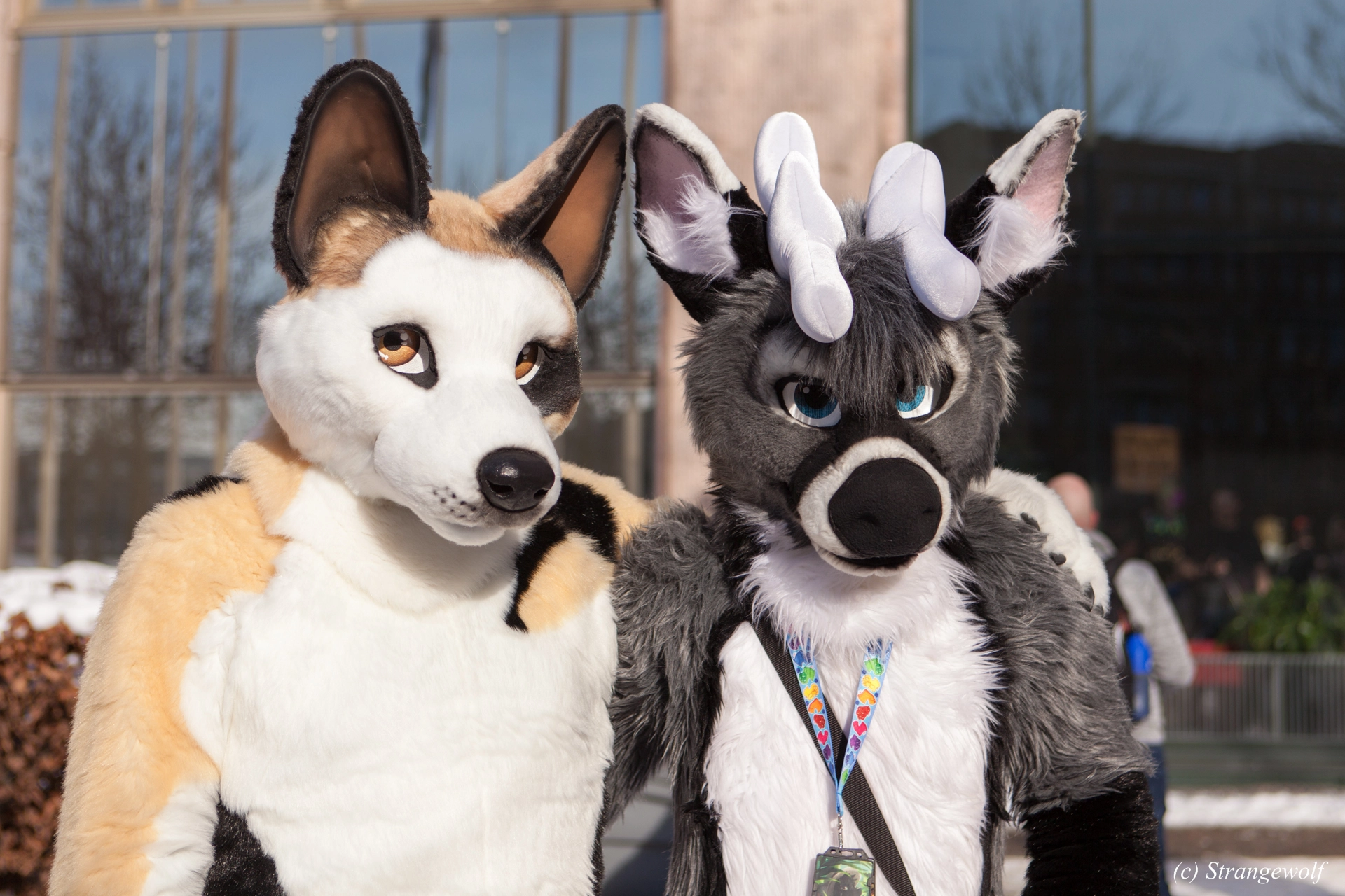 full image IMG_9617-lr19t.jpg