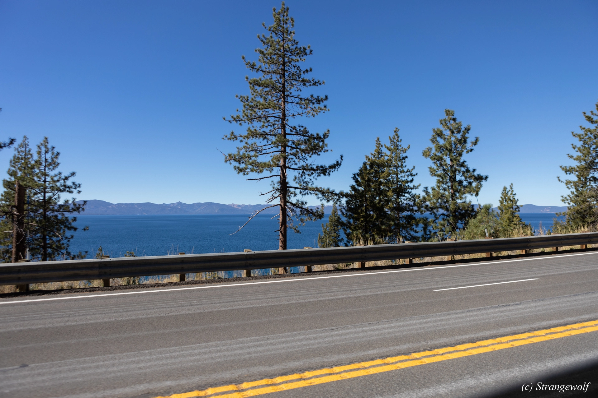 full image 1R3A3064-lr19t.jpg