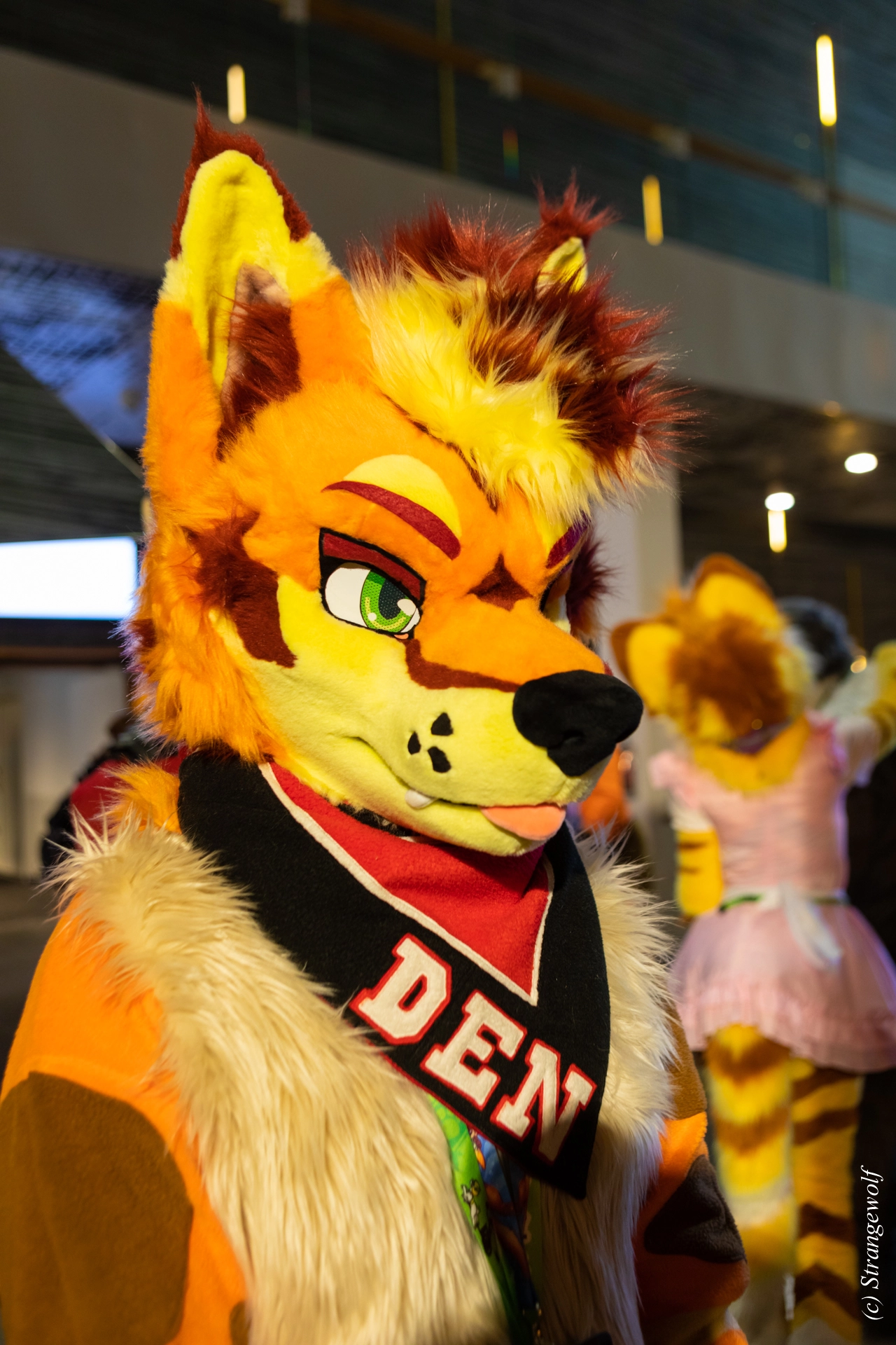 full image 1R3A3722-lr19t.jpg