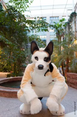 IMG_8910-lr19t.jpg of NFC/NFC2019/