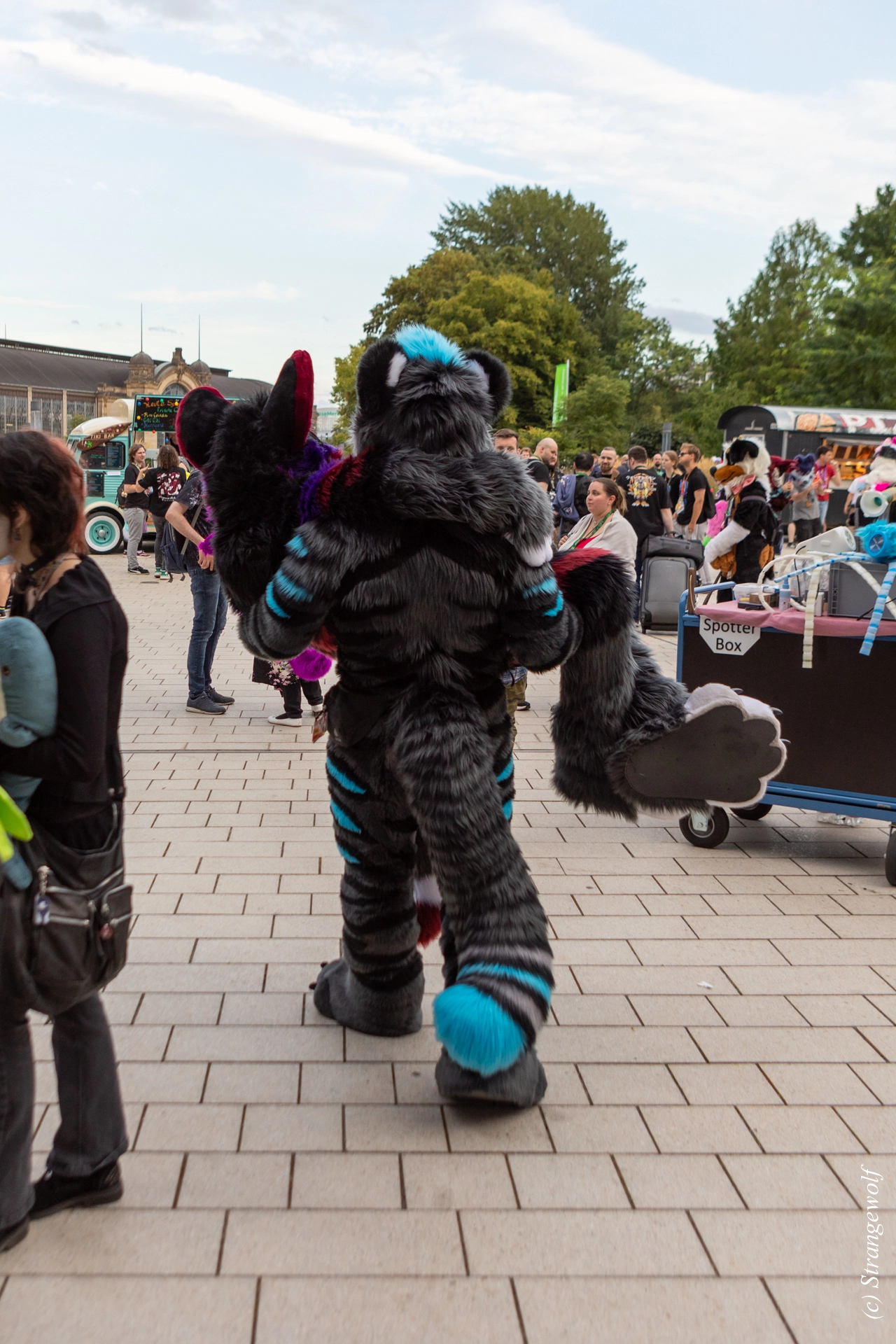 full image 1R3A9128-lr19t.jpg