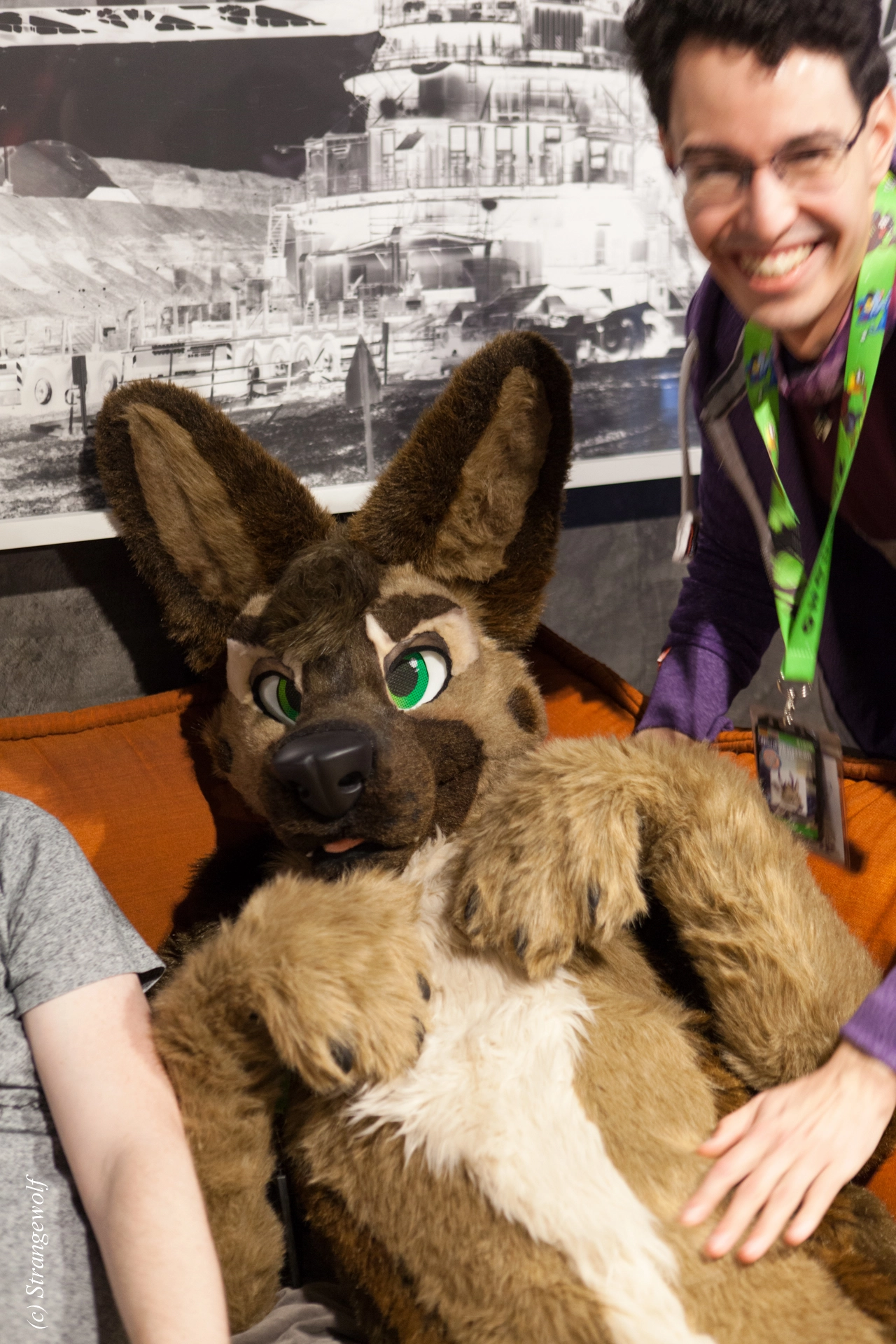 full image IMG_8955-lr19t.jpg