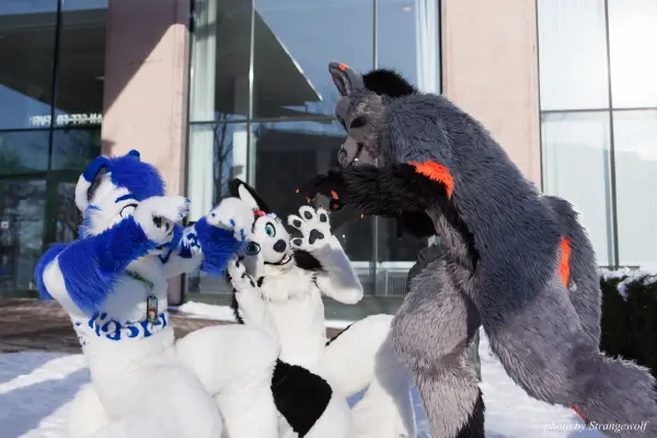 IMG_0113-lr19t.jpg of NFC/NFC2018/