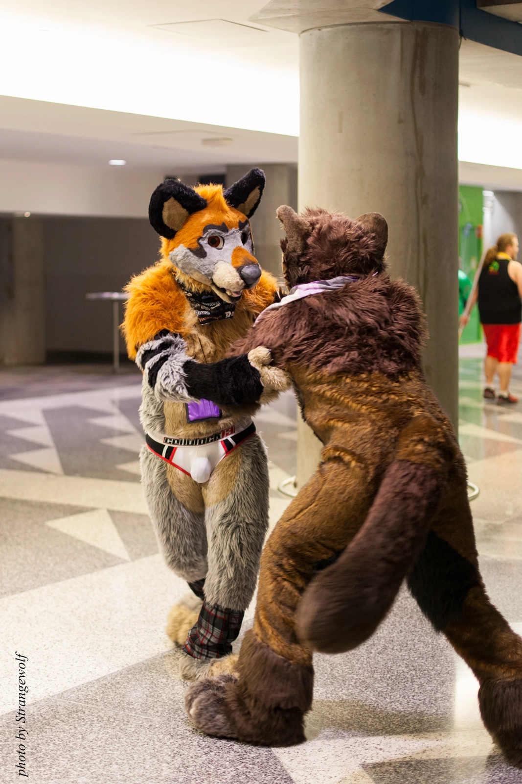 full image IMG_1191-lr16t.jpg