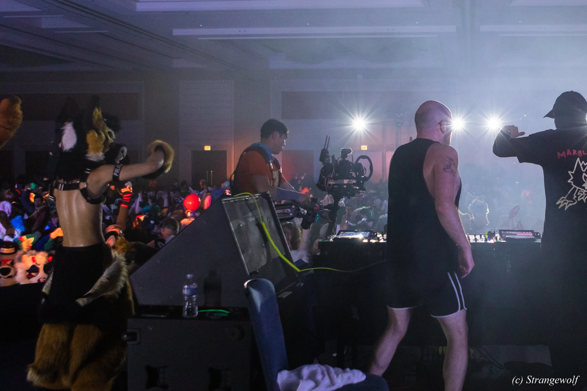 full image 1R3A7036-lr19t.jpg