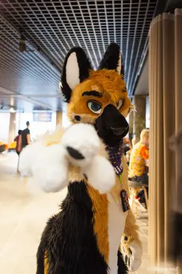 IMG_8900-lr19t.jpg of NFC/NFC2020/