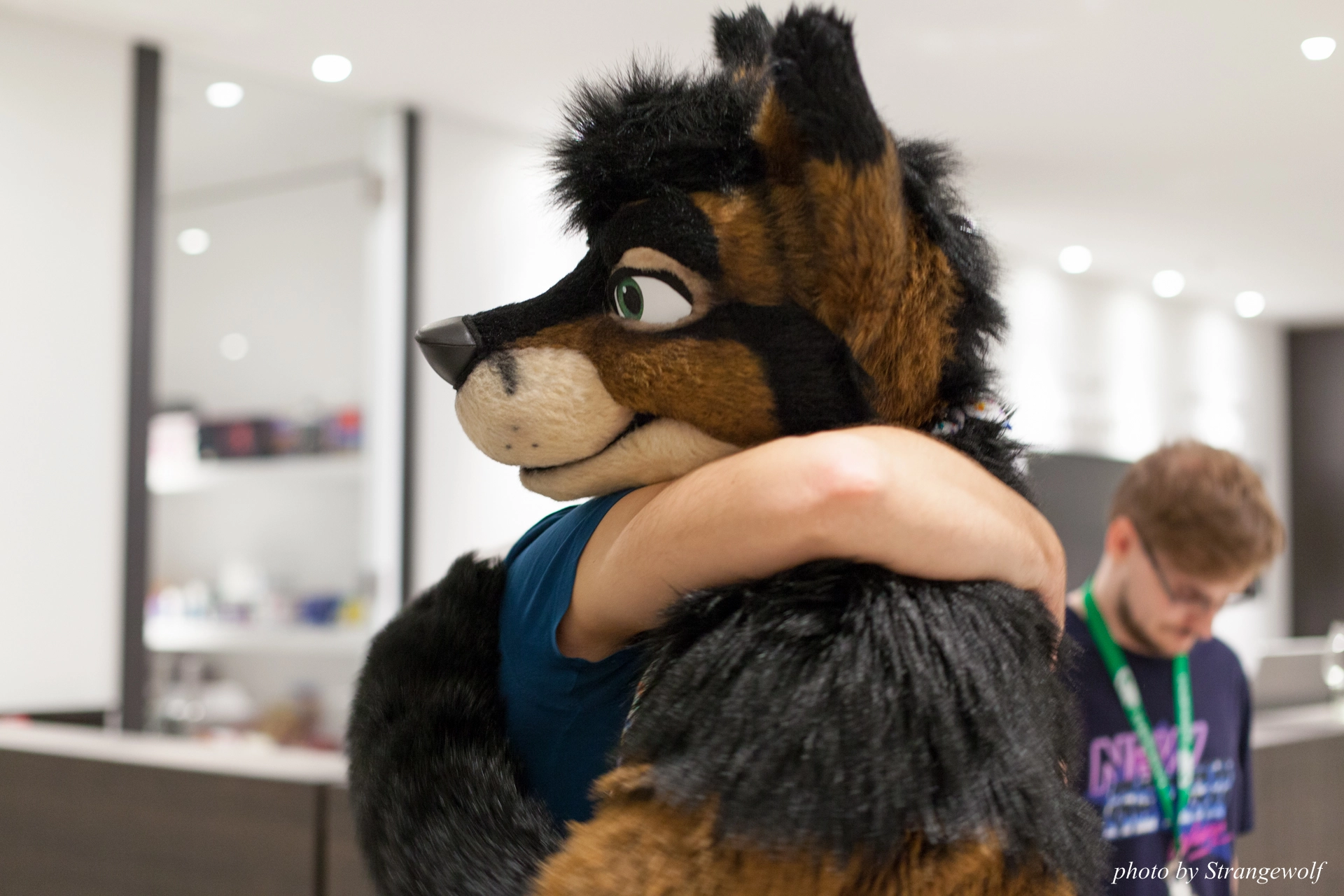 full image IMG_6291-lr19t.jpg