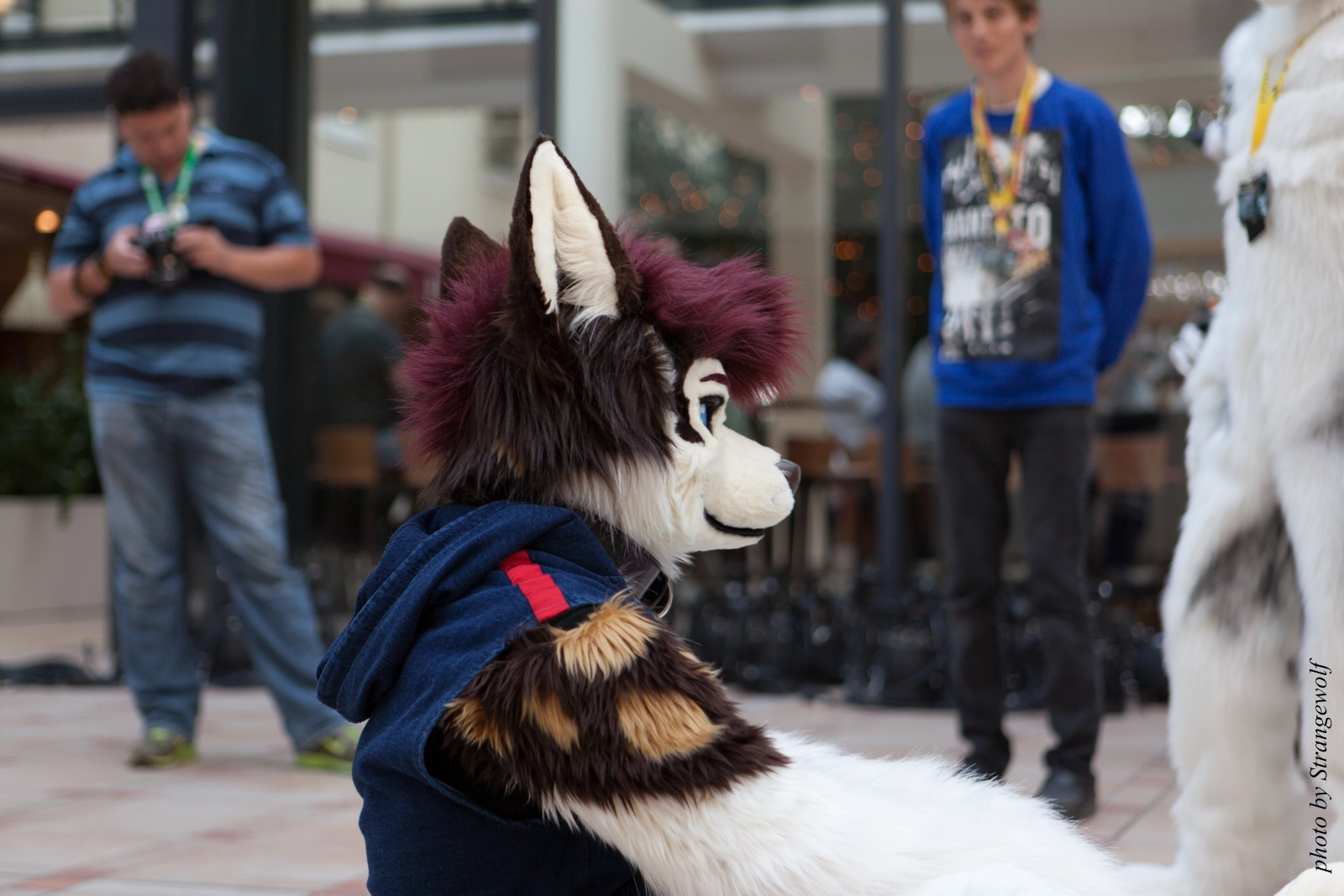 full image IMG_3186-lr16t.jpg