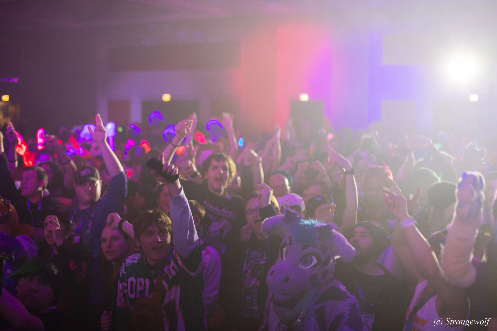 full image 1R3A5980-lr19t.jpg