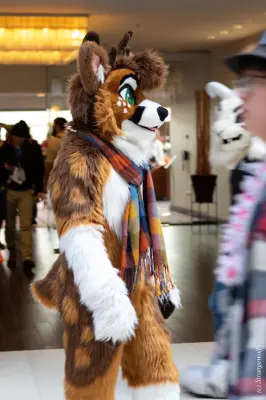 1R3A6069-lr19t.jpg of MFF/MFF2024/