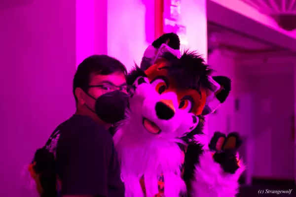 IMG_3042-lr19t.jpg of ANE/ANE2022/