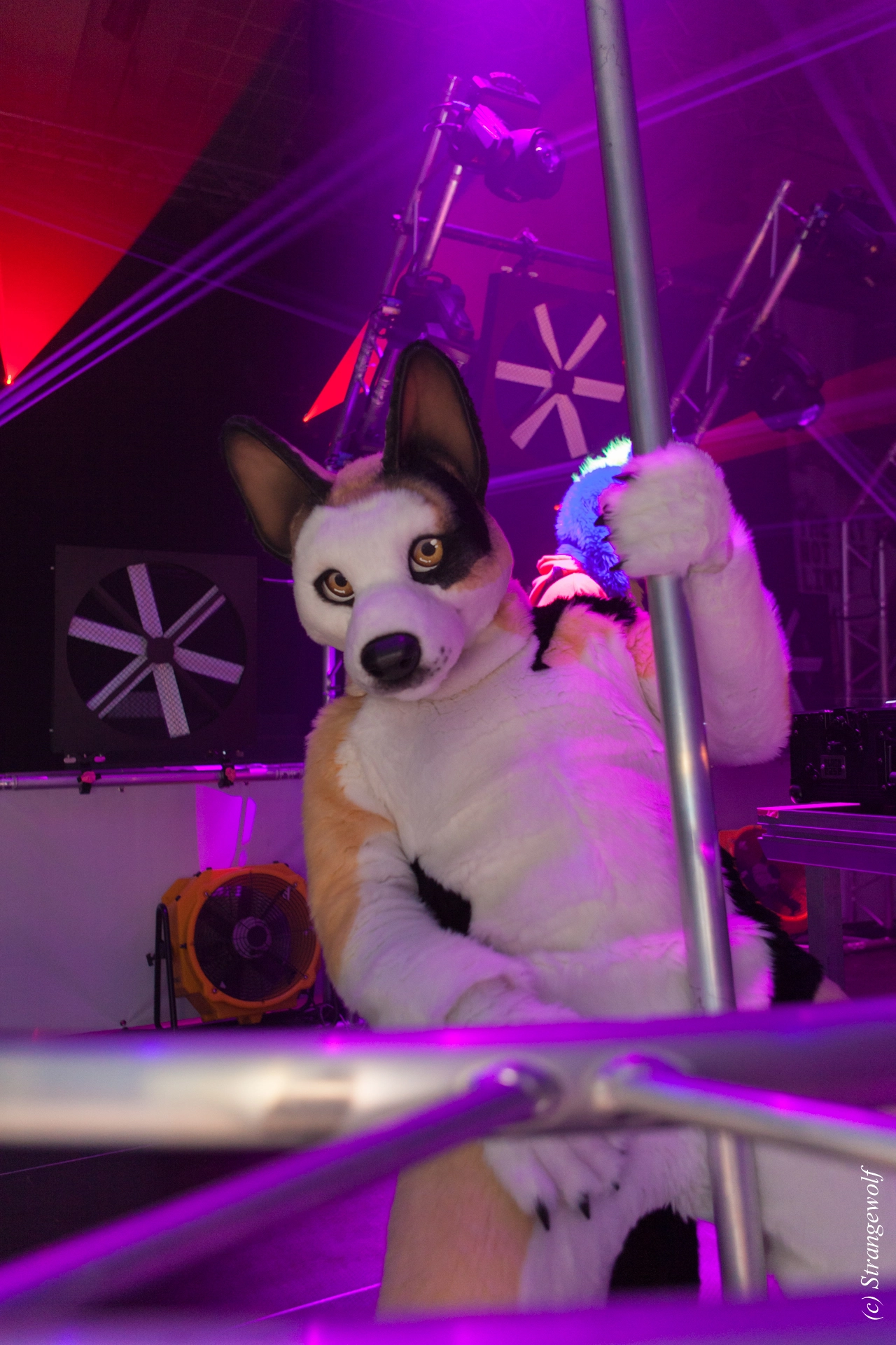 full image IMG_5051-lr19t.jpg