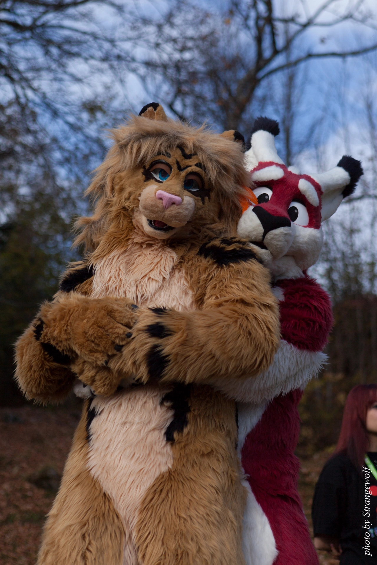 full image IMG_7764-lr19t.jpg