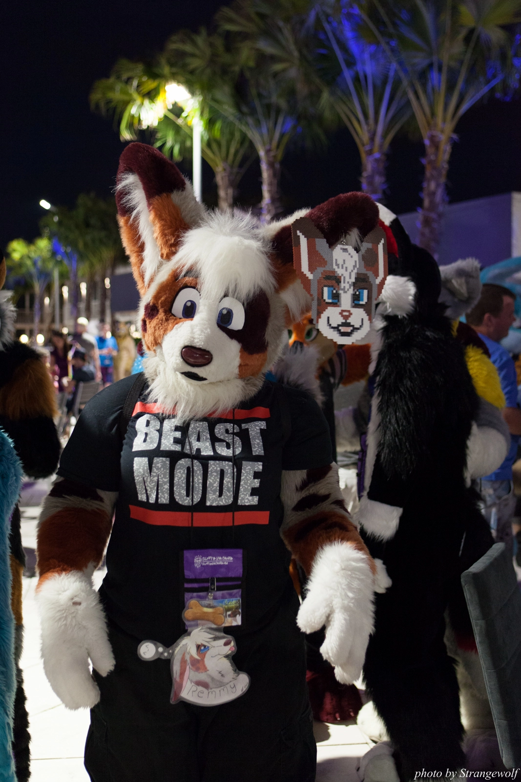 full image IMG_8560-lr16t.jpg