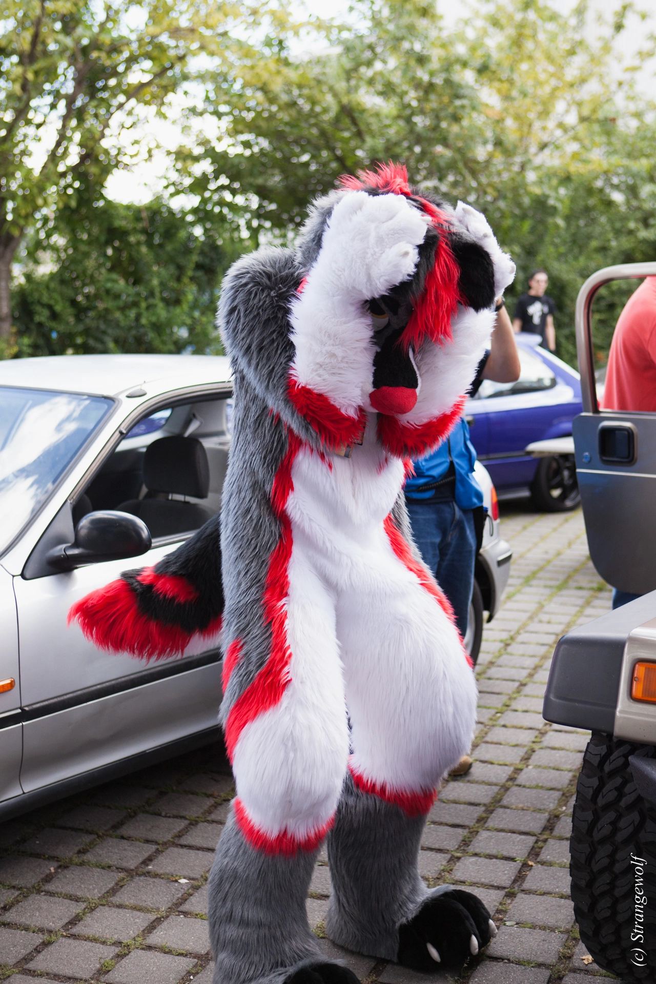 full image IMG_6946-lr19t.jpg