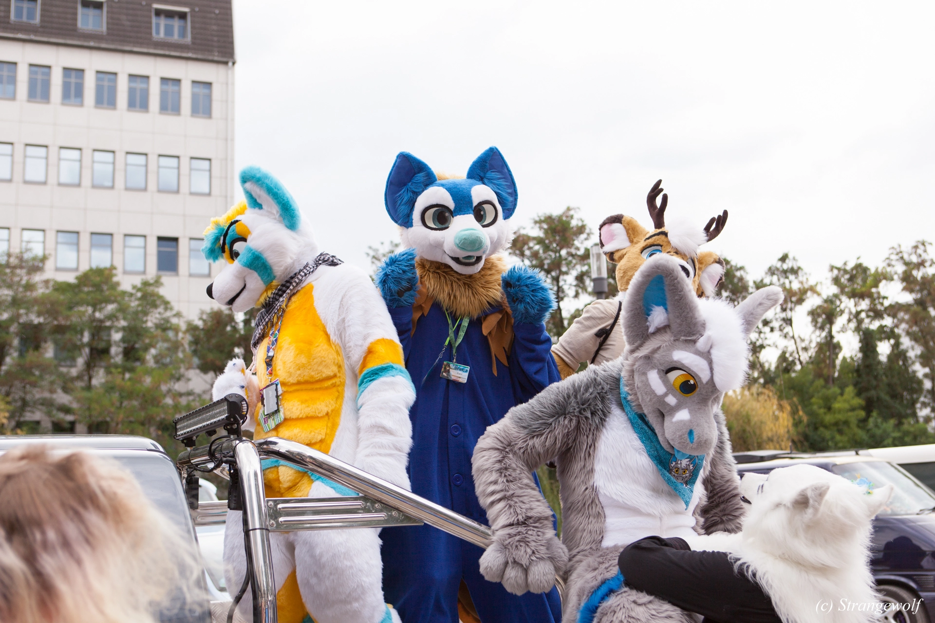 full image IMG_5286-lr19t.jpg