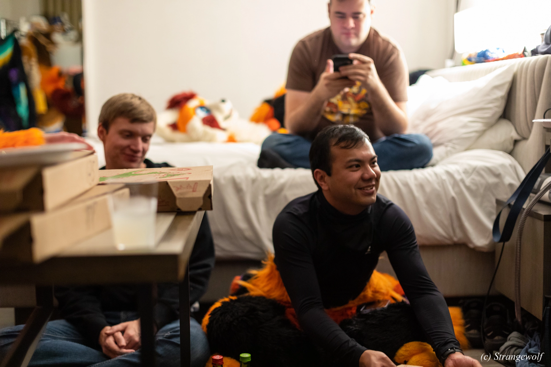 full image 1R3A0173-lr19t.jpg