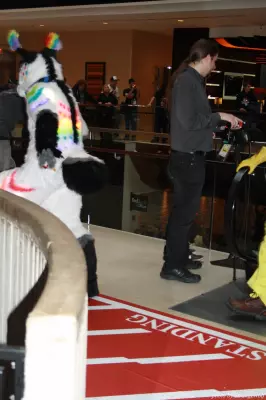IMG_0604-lr.jpg of MFF/MFF2013/
