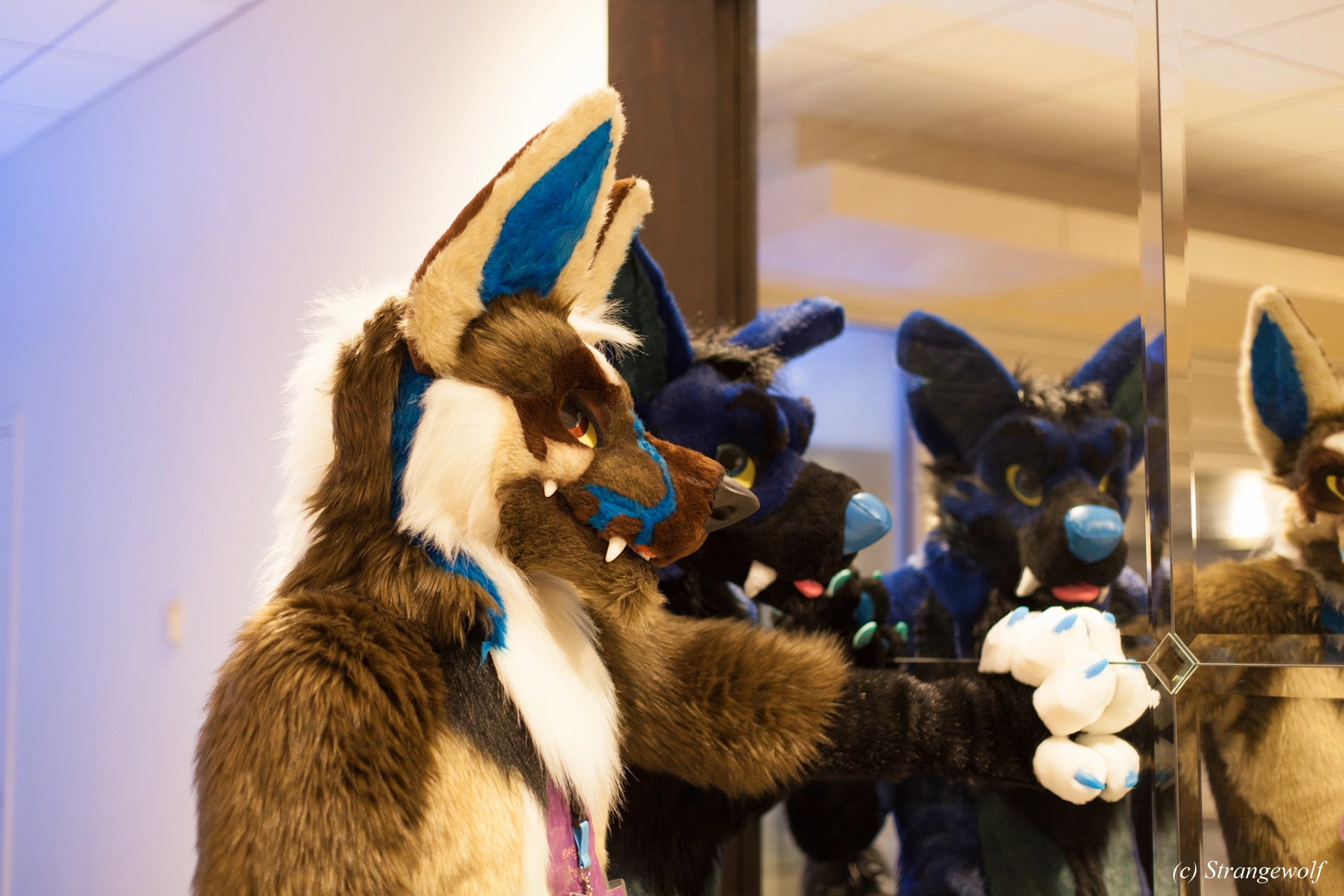 full image IMG_1420-lr19t.jpg