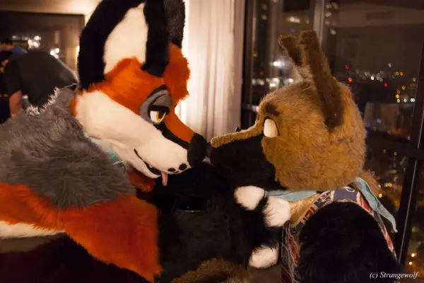 IMG_2290-lr19t.jpg of FWA/FWA2018/