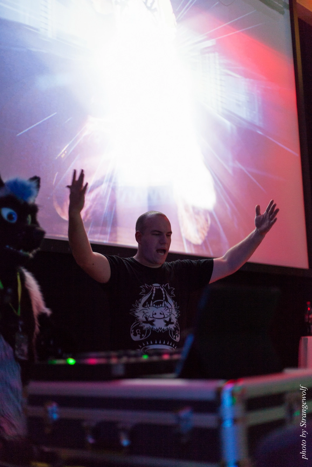 full image IMG_1849-lr16t.jpg