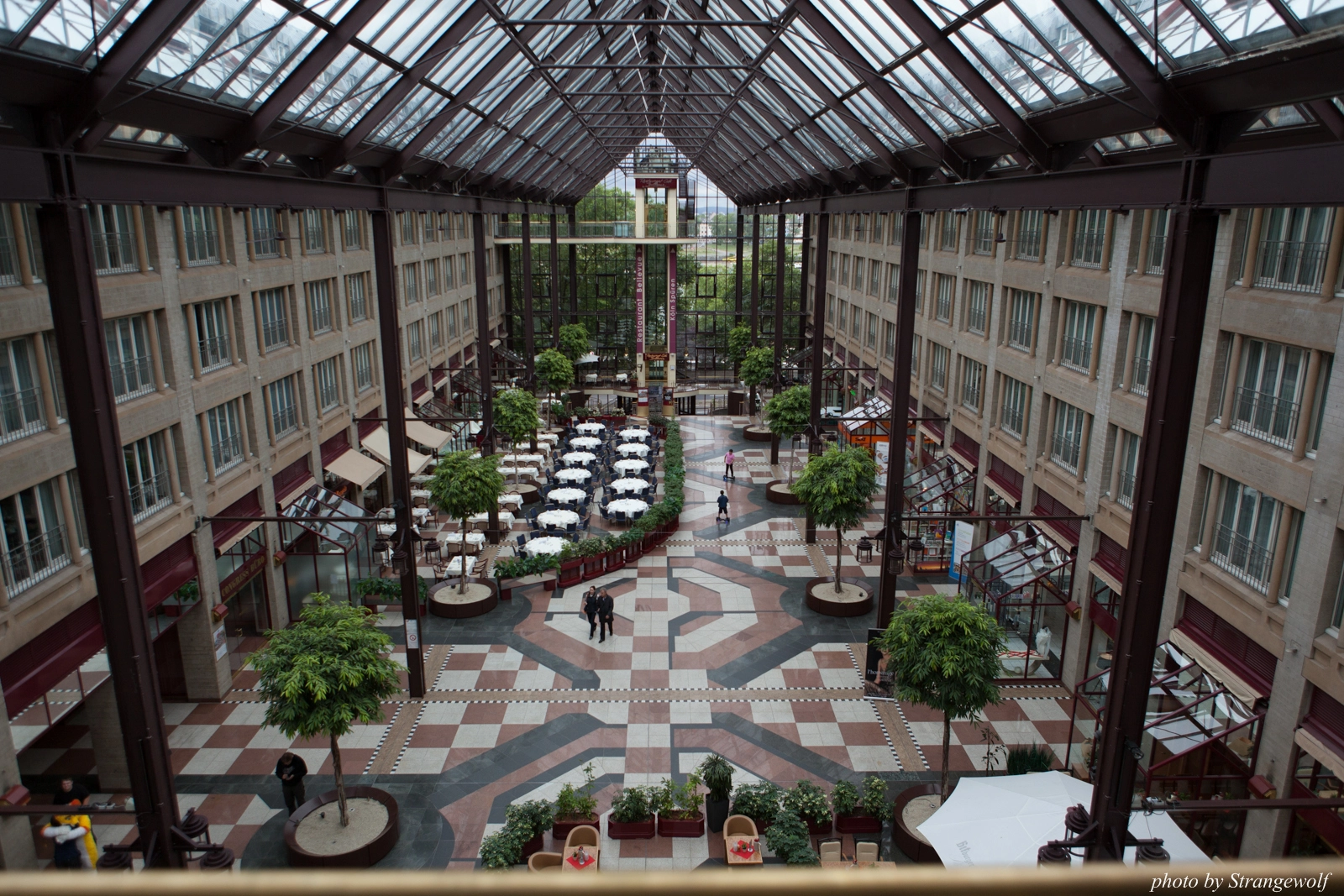 full image IMG_1186-lr16t.jpg