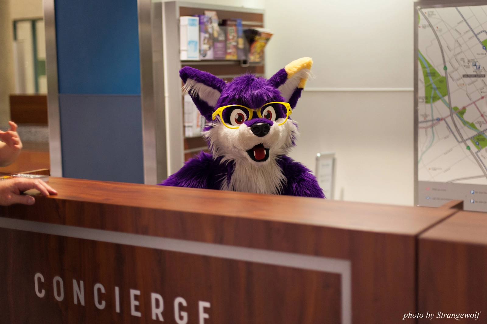 full image IMG_1366-lr16t.jpg